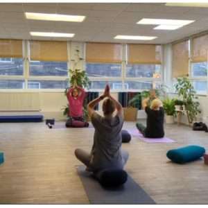 Online hatha yoga classes